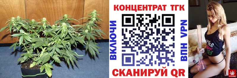 Дистиллят ТГК THC oil  Поворино 