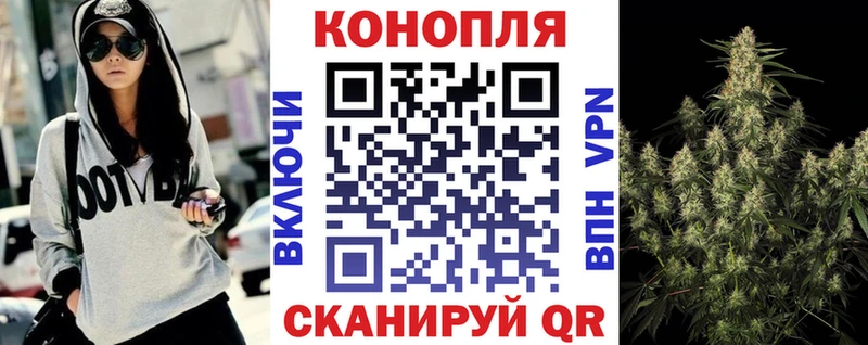 Бошки марихуана MAZAR  закладки  Поворино 
